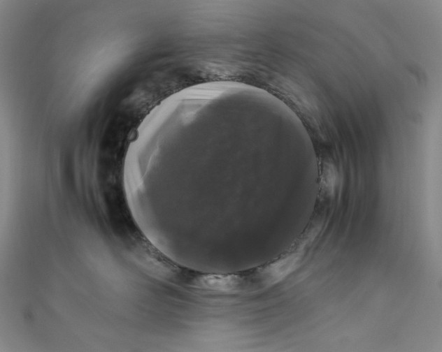 X0000111470526200907271314