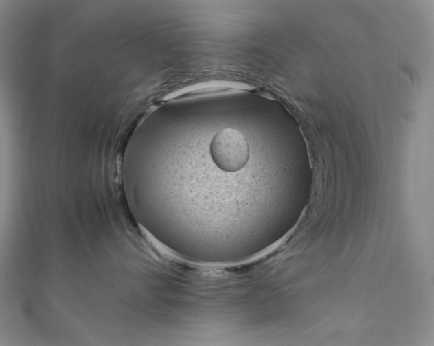 X0000111470528200907271314