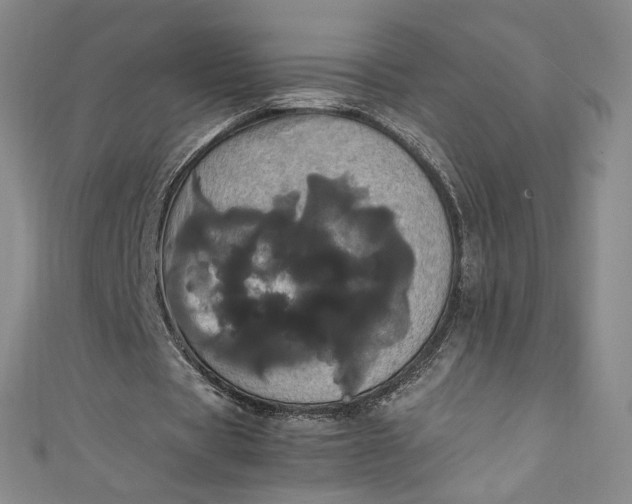 X0000111470529200907271313