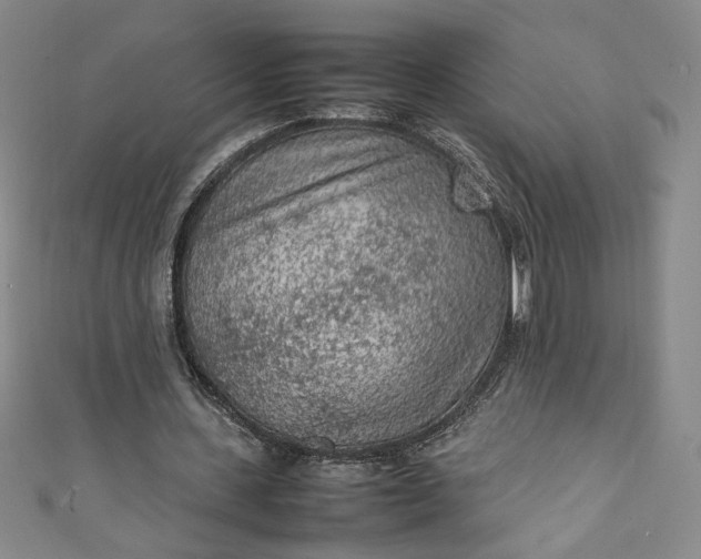 X0000111470531200907271314