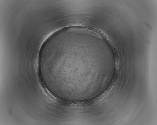 X0000111470532200907271314