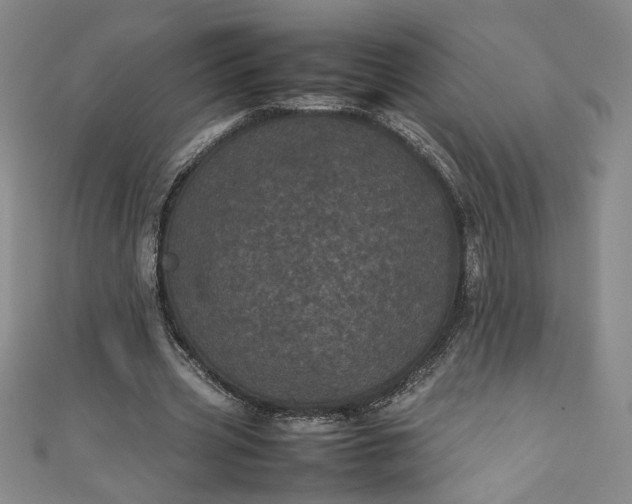 X0000111470533200907271314