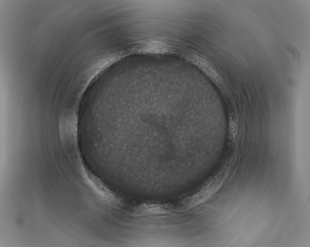 X0000111470534200907271314