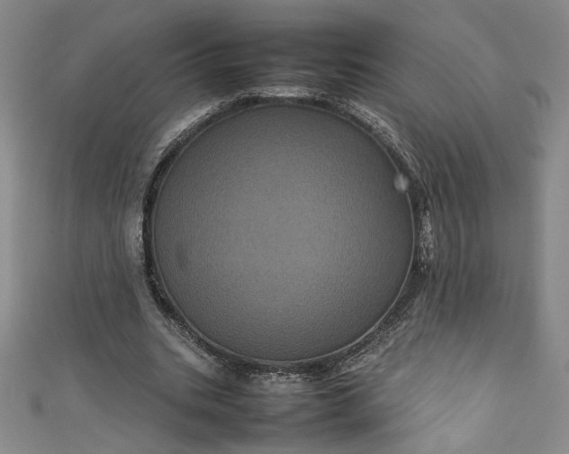 X0000111470535200907271314