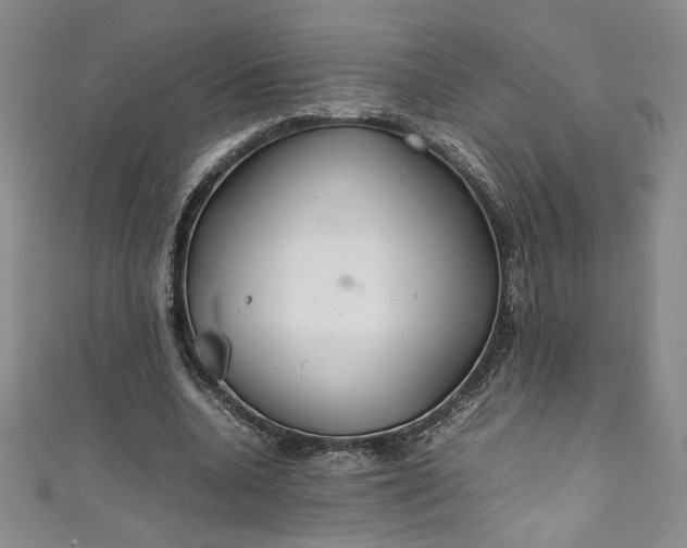 X0000111470536200907271314