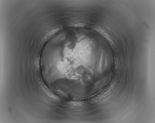 X0000111470537200907271314