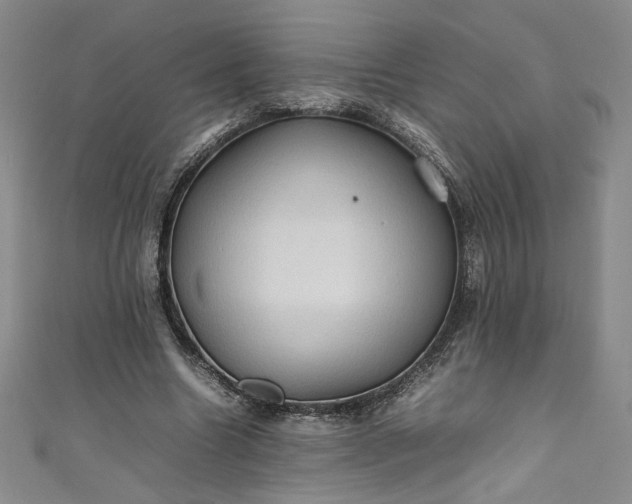 X0000111470538200907271314