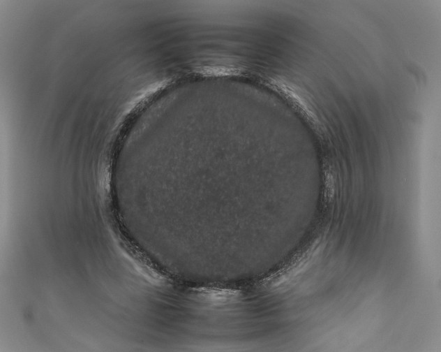 X0000111470539200907271314