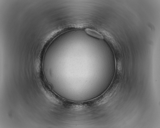 X0000111470540200907271314