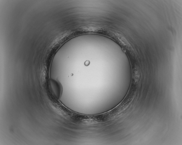 X0000111470544200907271314