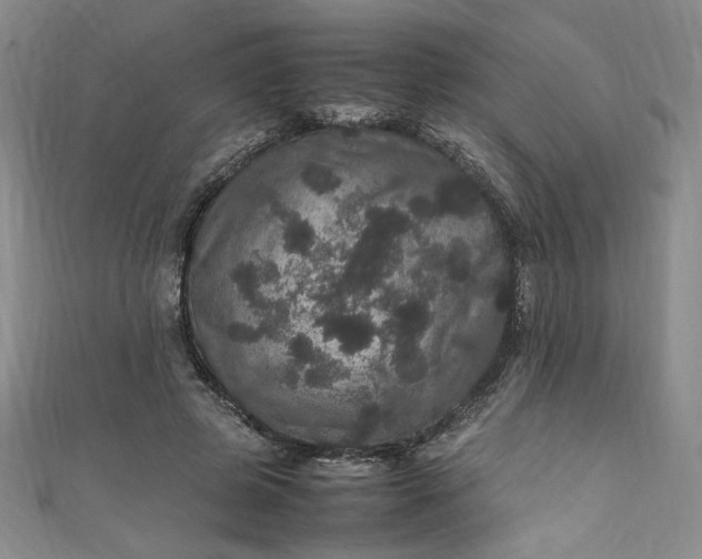 X0000111470545200907271314