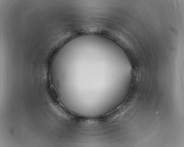 X0000111470546200907271314