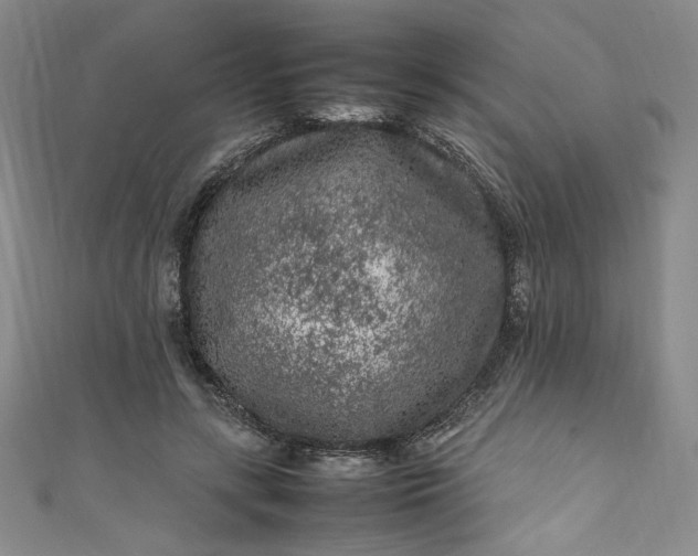 X0000111470547200907271314