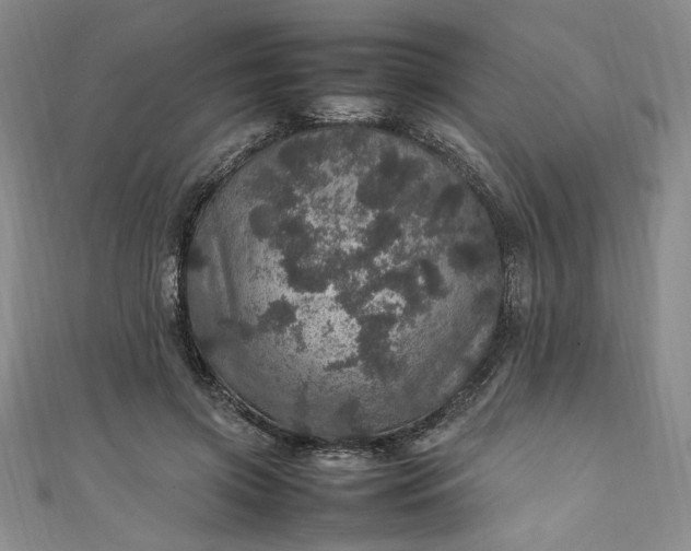 X0000111470549200907271314