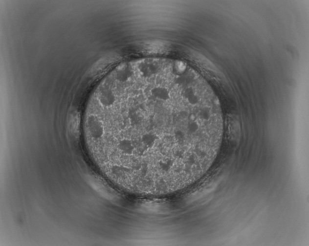 X0000111470550200907271314