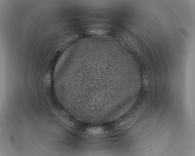 X0000111470551200907271314