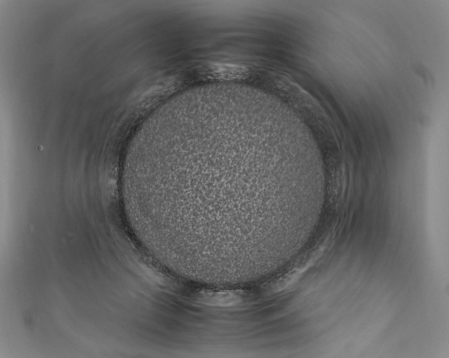 X0000111470553200907271314