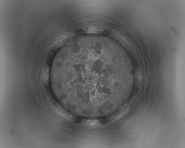 X0000111470554200907271314