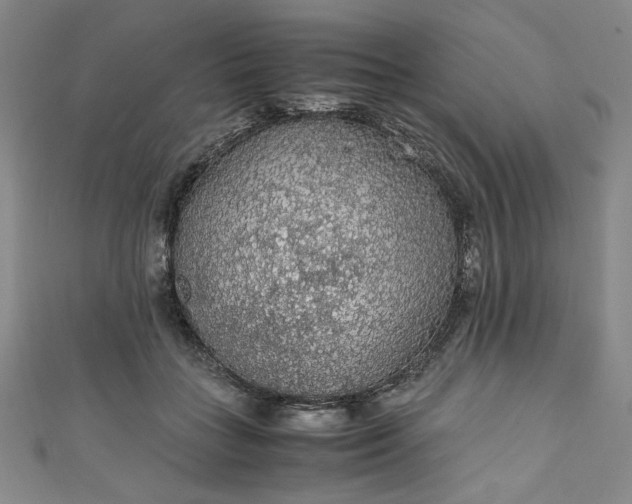 X0000111470555200907271314