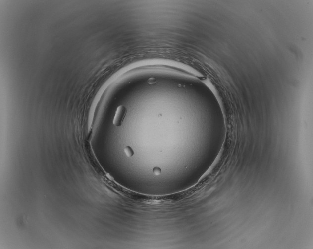 X0000111470558200907271314