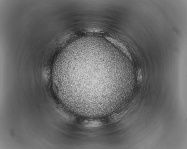 X0000111470559200907271314