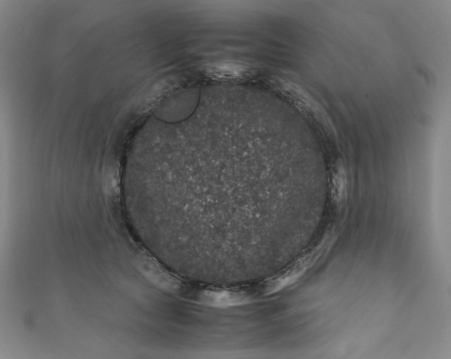 X0000111470561200907271314