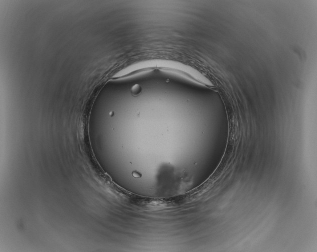 X0000111470562200907271314