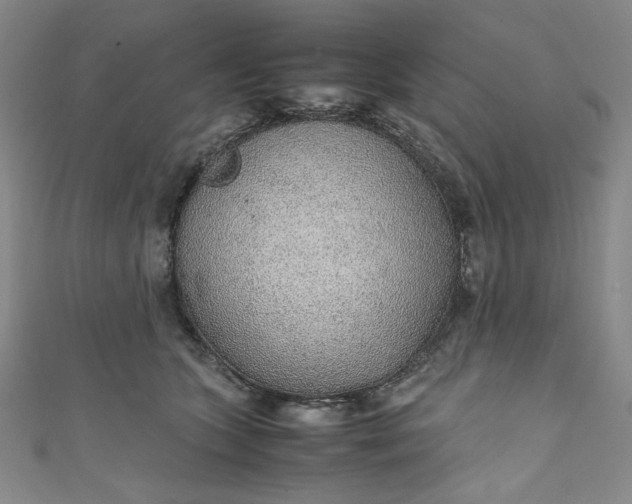 X0000111470563200907271314