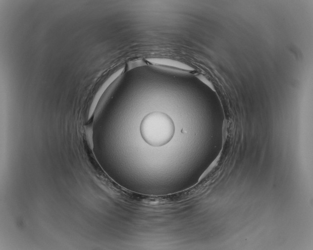 X0000111470564200907271314