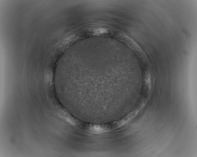 X0000111470565200907271314