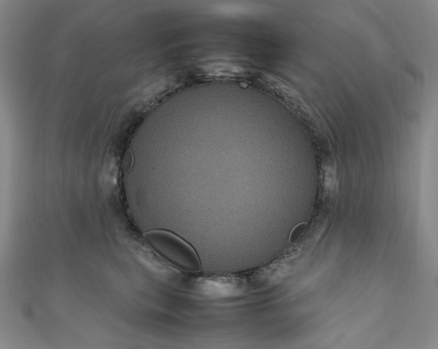 X0000111470567200907271314