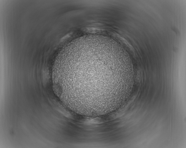 X0000111470569200907271314