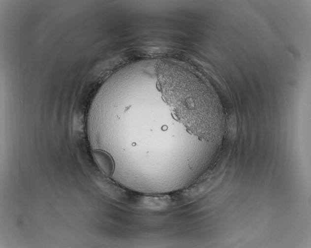 X0000111470571200907271314