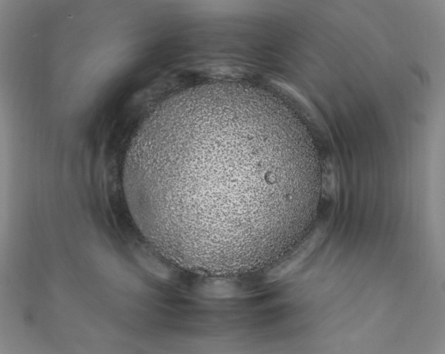 X0000111470573200907271314