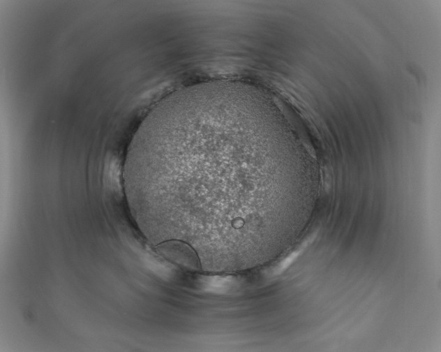 X0000111470575200907271314