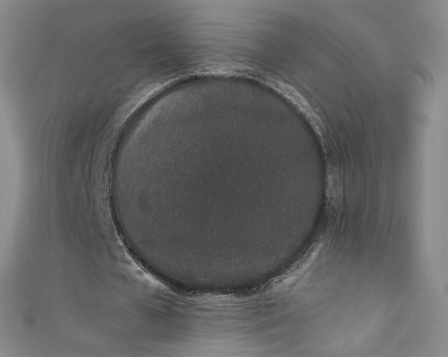 X0000111470577200907271313