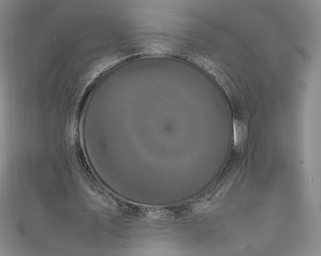 X0000111470579200907271313