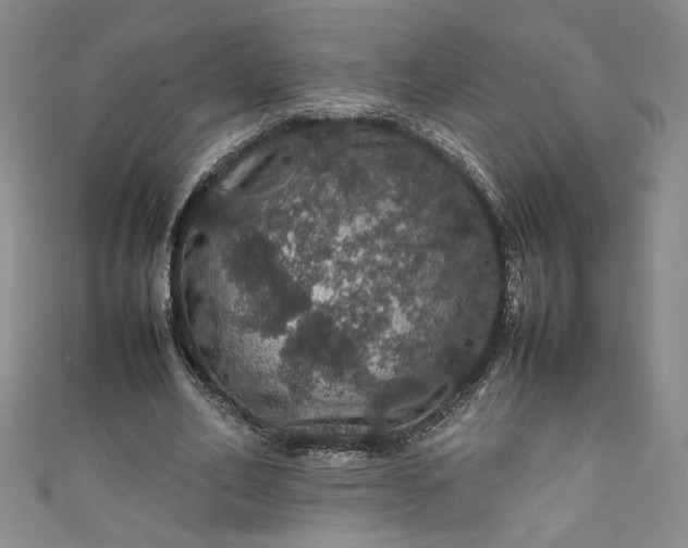 X0000111470582200907271313