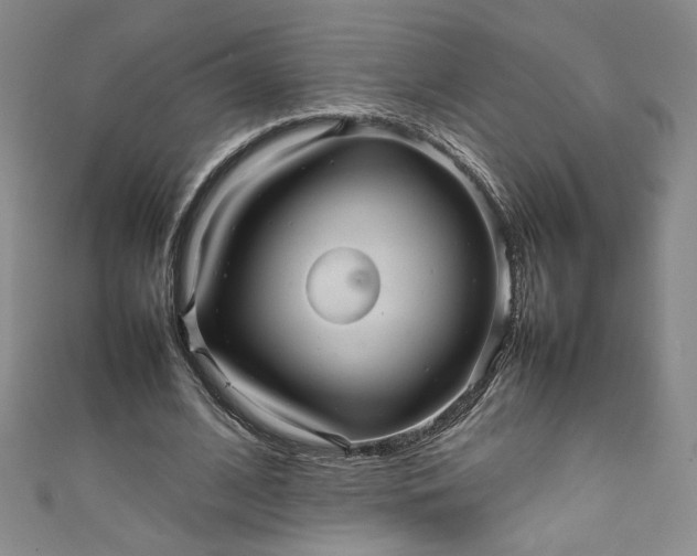 X0000111470584200907271313