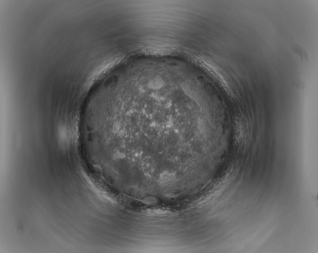 X0000111470586200907271313