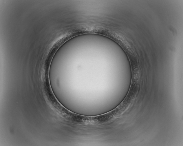 X0000111470587200907271313