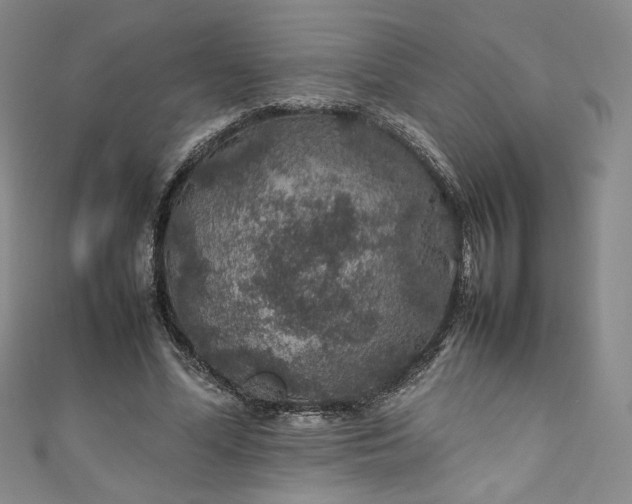 X0000111470588200907271313