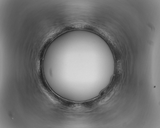 X0000111470589200907271313