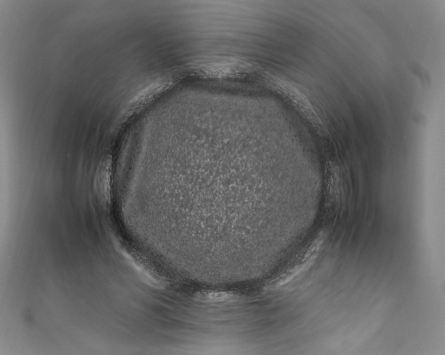 X0000111470590200907271313