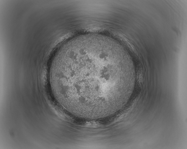 X0000111470591200907271313