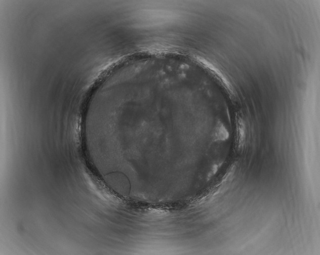 X0000111470592200907271313