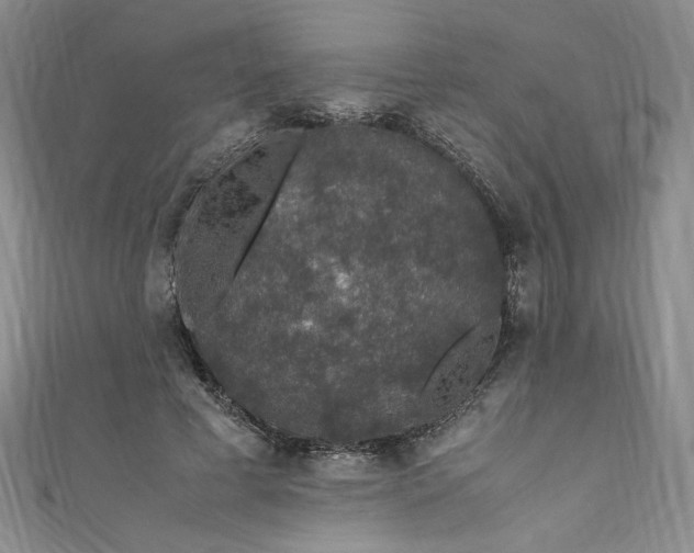 X0000111470593200907271313