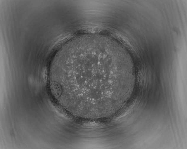 X0000111470594200907271313