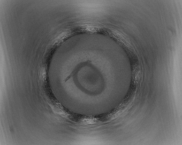 X0000111470595200907271313