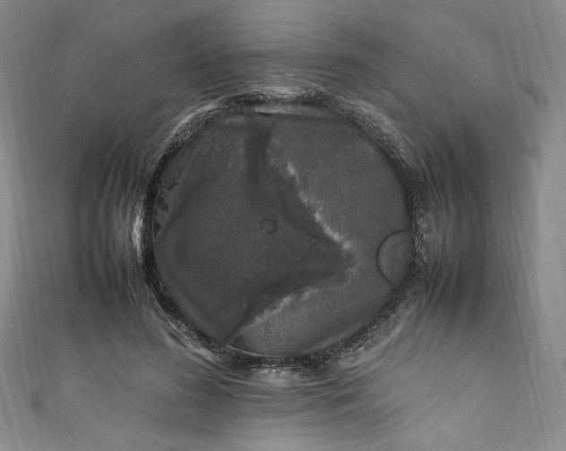 X0000111470596200907271313